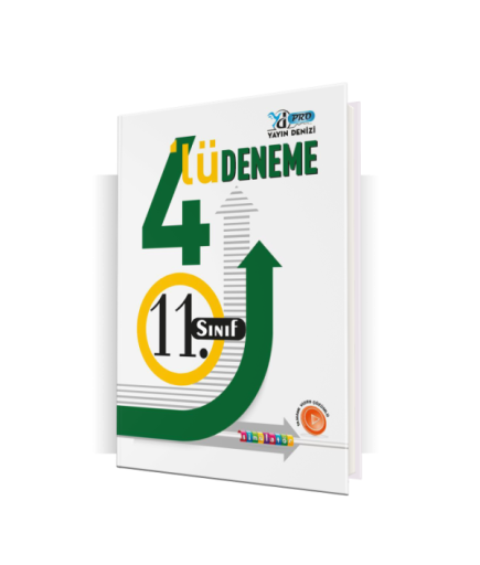 11.SINIF PRO SİMÜLATÖR 4 LÜ DENEME - 2022-23